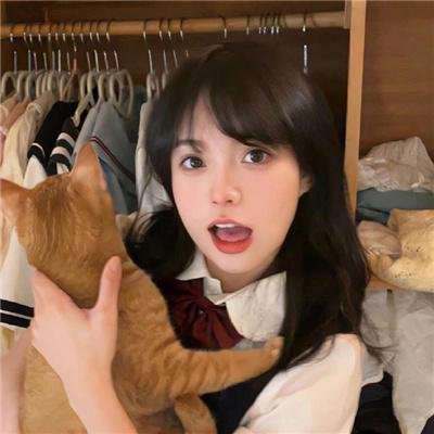 狮蚁